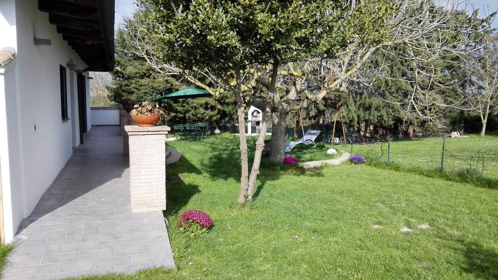 Il Piccolo Rifugio - L'Angoletto Palidoro Cameră foto